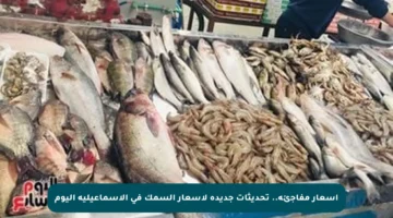 أسعار مفاجئة.. تحديثات جديدة لأسعار السمك في الإسماعيلية اليوم
